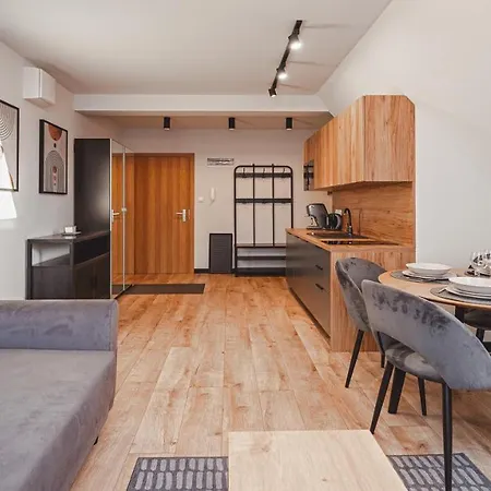 Sun & Snow C Z Sauna Apartment *